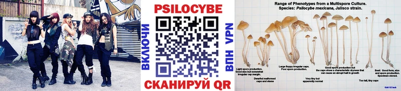 KRAKEN ONION  Снежинск  Галлюциногенные грибы Psilocybine cubensis 